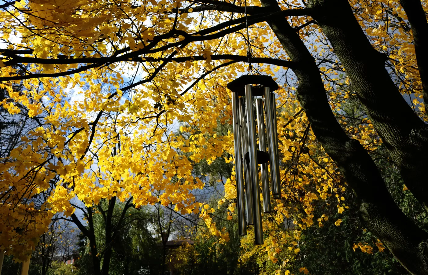 campana de viento